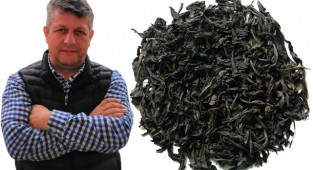 Rize'de her ev bir çay atölyesi olacak