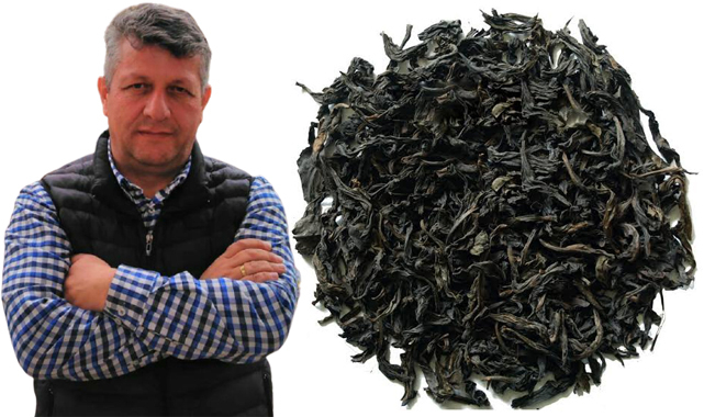 Rize'de her ev çay fabrikası olacak