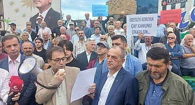 AK Parti hükümeti gider ayak çay tarımının ipini çekmeye çalışmaktadır