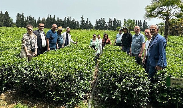 RTEÜ Çay İhtisaslaşma Koordinatörlüğü'nden Azerbaycan'a Teknik Gezi