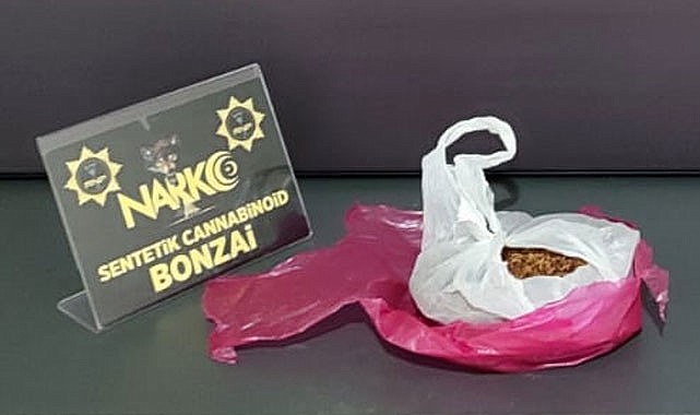 Rize'de Bonzai ile yakalanan 1 kişi tutuklandı