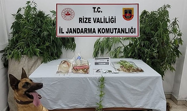 Rize Jandarması Temmuz ayında 315 kişi yakaladı