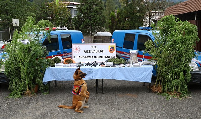 Rize Jandarması'ndan 5 ilçede eş zamanlı operasyon