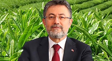 Bakan Yumaklı yaş çay fiyatı için makul bir alım fiyatı dedi
