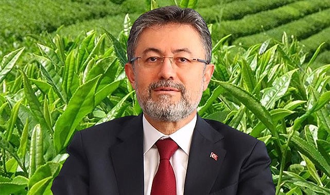 Bakan Yumaklı yaş çay fiyatı için makul bir alım fiyatı dedi
