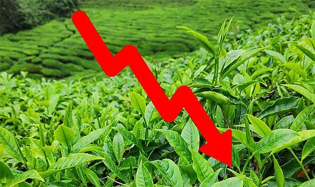 Enflasyonun altında açıklanan Yaş Çay Taban fiyatına tepki