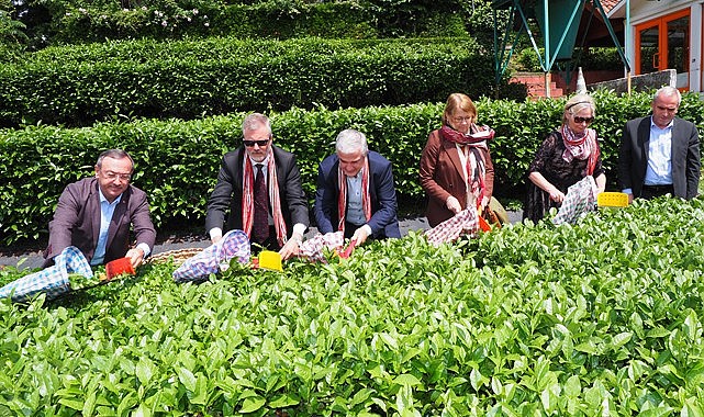 Nordik ülkelerinin büyükelçileri Çaykur'a tam not verdi