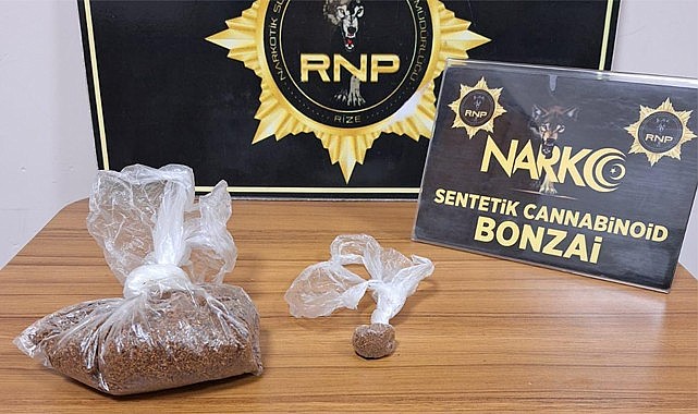 Rize'de bonzai ile yakalanan 2 kişi tutuklandı