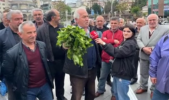 Yaş Çay Taban Fiyatına Rize'de büyük tepki!