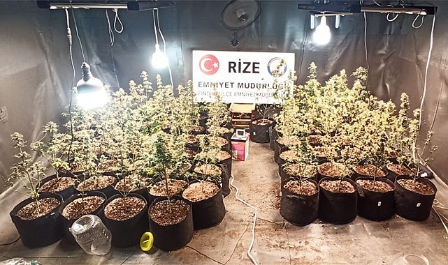 Rize ve Fındıklı'da uyuşturucu operasyonu: 3 kişi tutuklandı