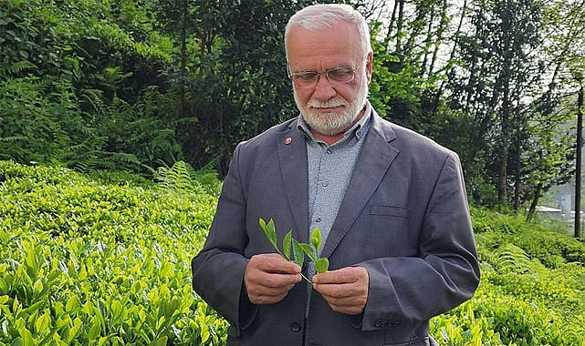 Saadet Partili Hasan Uzun: 1 kilo Çay 3 Ekmek etmeli