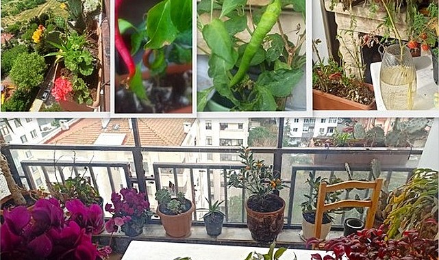 Bitkilerin ruhuna dokunabilmek