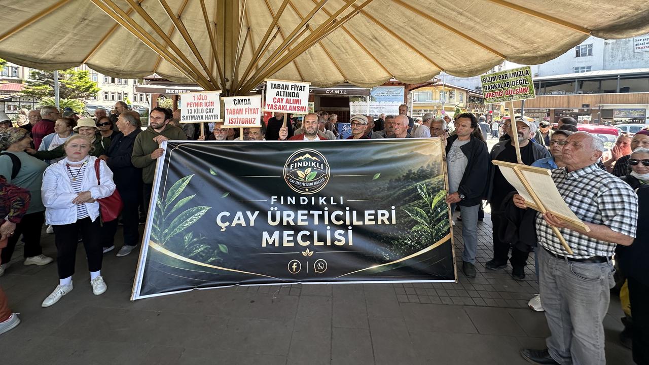 Fındıklı’da Çay Üreticisi İsyanda: 35 TL Taban Fiyat Olsun, Destekleme 5 TL’ye Çıksın