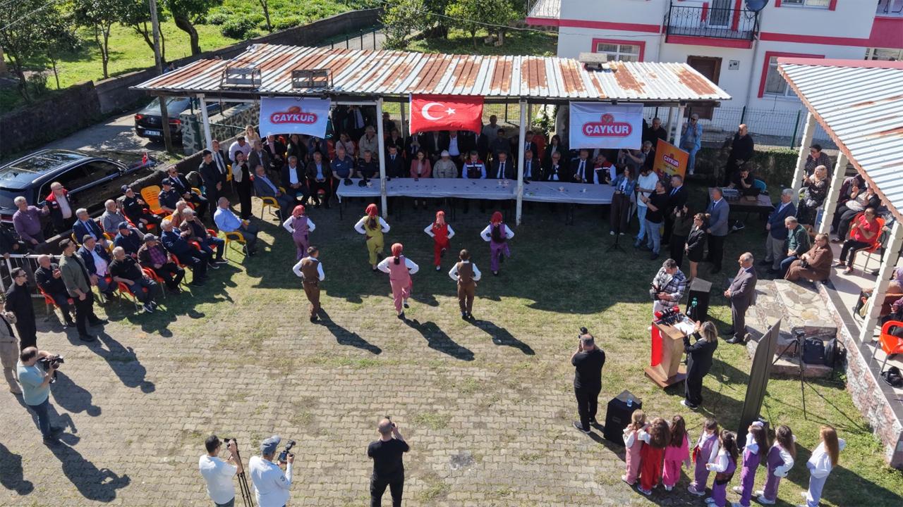 Yaş Çay Sezonu Başladı: Kemalpaşa’da Renkli Hasat Şenliği!